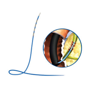 Dây điên cực bốn đốt ELRA