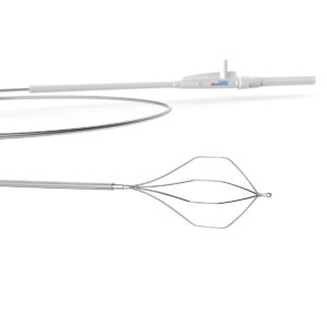 Rọ lấy sỏi đường mật