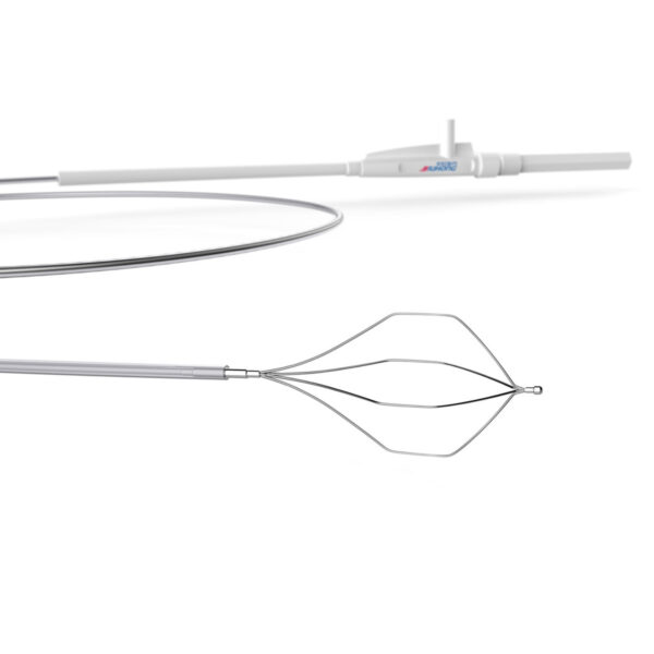 Rọ lấy sỏi đường mật