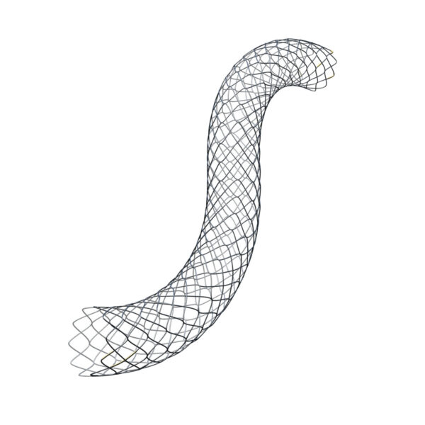 Stent Mật Tụy (4)