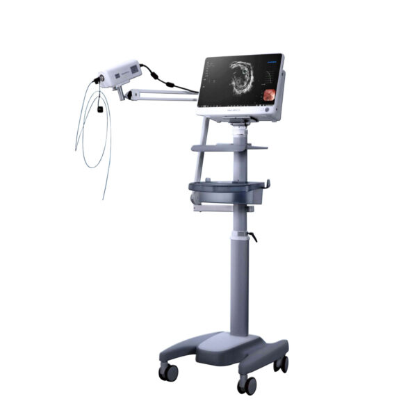 Hệ thống siêu âm nội soi Mini Probe