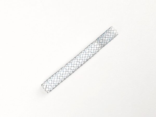 PHOTO 2025 06 20 11 20 22