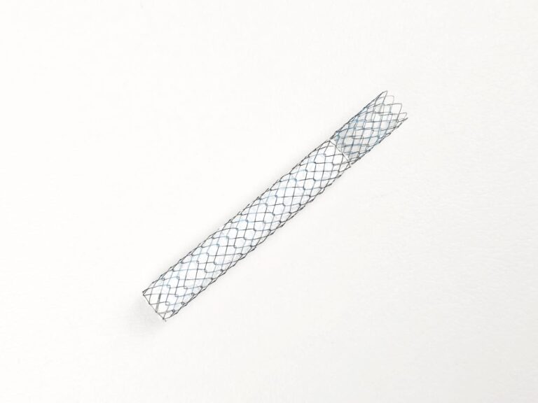 PHOTO 2025 06 20 11 20 22